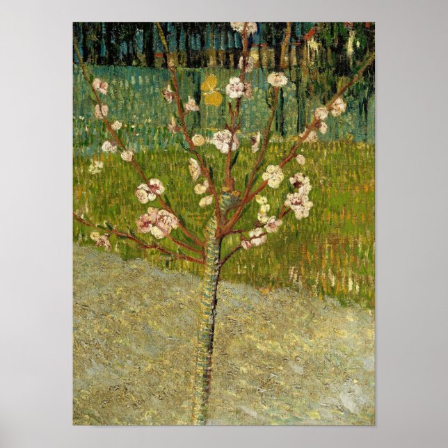 Vincent van Gogh -  Almond tree in blossom Poster (Front)