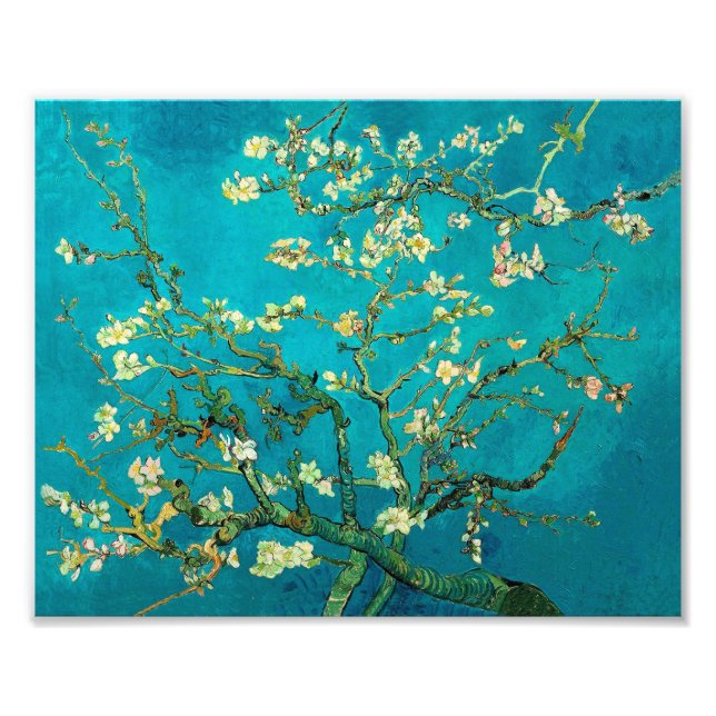 Vincent Van Gogh Blossoming Almond Tree Floral Art Photo Print (Front)