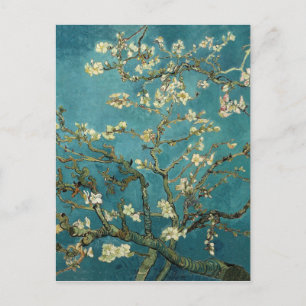 Vincent Van Gogh -  Blossoming Almond Tree Postcard