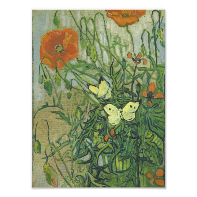 Vincent Van Gogh - Butterflies and poppies Photo Print (Front)