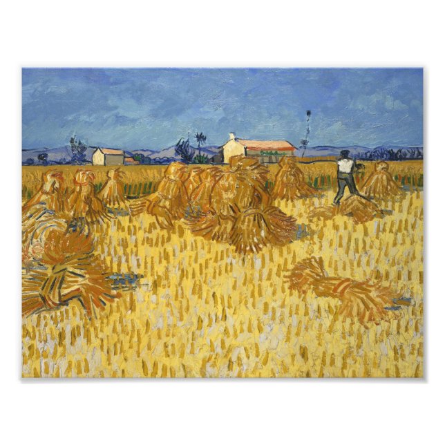 Vincent van Gogh - Corn Harvest in Provence Photo Print (Front)