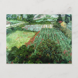 Vincent van Gogh Field with Poppies, 1889 Postcard