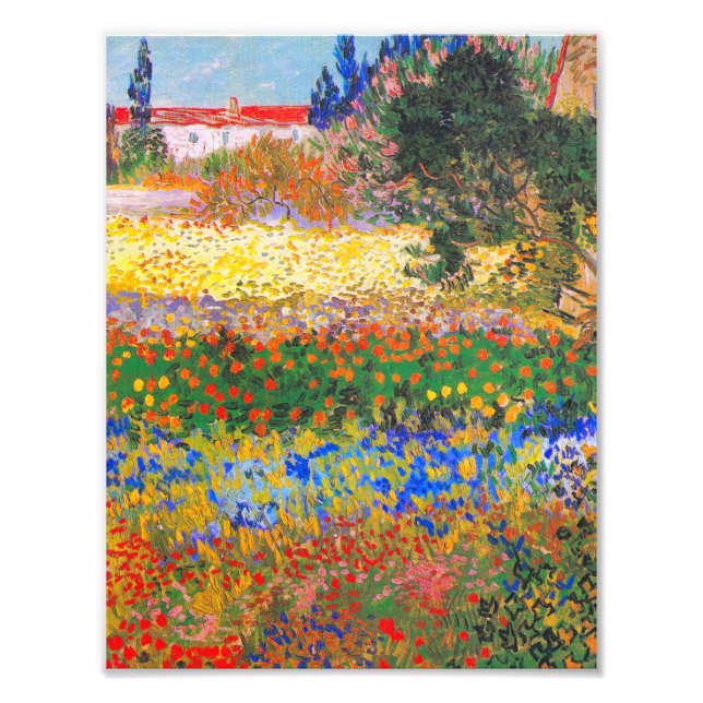 Vincent Van Gogh Flowering Garden Photo Print (Front)