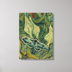 Vincent van Gogh - Giant Peacock Moth Canvas Print