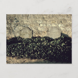 Vincent van Gogh Graves, Vincent, Theo van Gogh Postcard