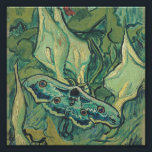 Vincent Van Gogh - Great Peacock Moth Photo Print<br><div class="desc">Vincent Van Gogh - Great Peacock Moth</div>