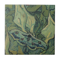 Vincent van Gogh - Great Peacock Moth