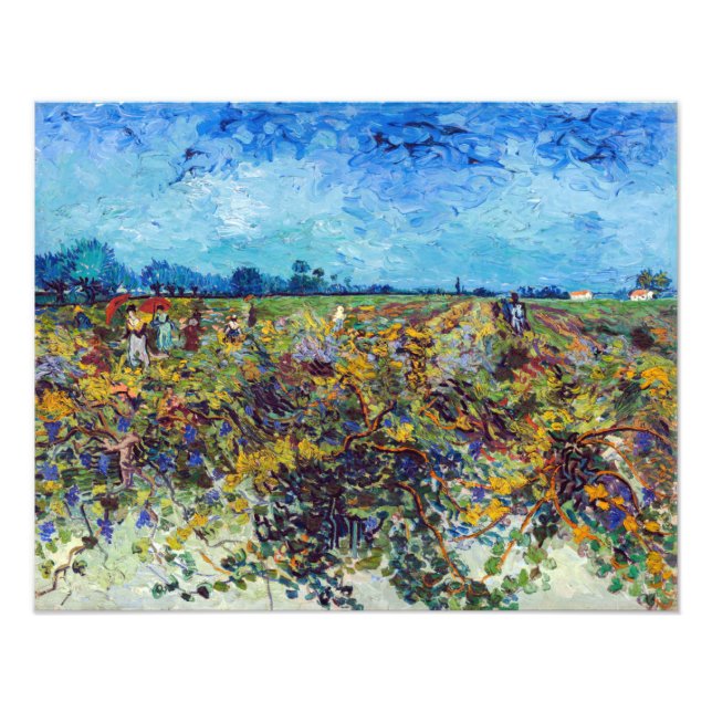 Vincent van Gogh - Green Vineyard Photo Print (Front)