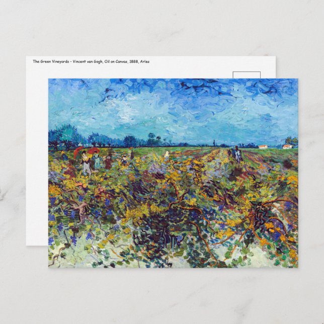 Vincent van Gogh - Green Vineyard Postcard (Front/Back)