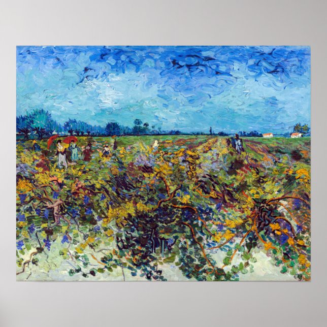 Vincent van Gogh - Green Vineyards Poster (Front)