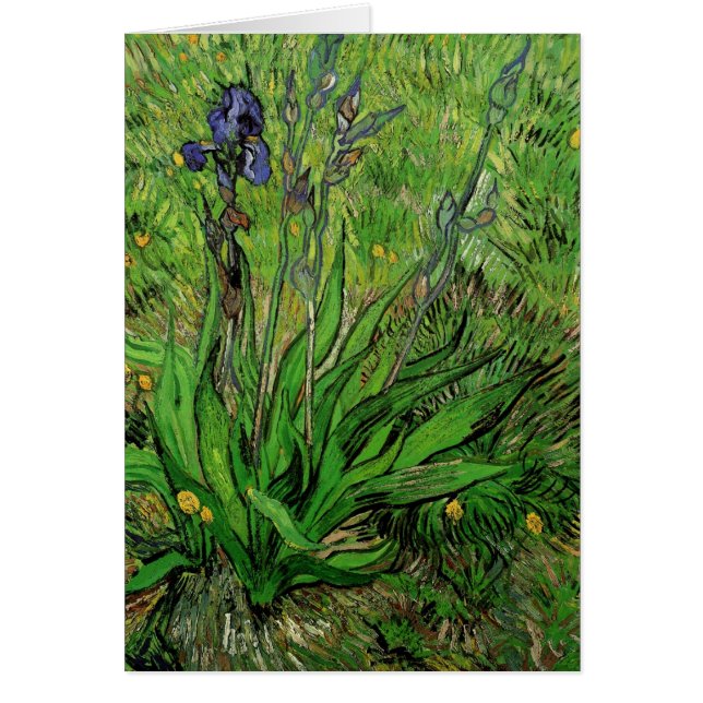Vincent van Gogh - Iris (Front)