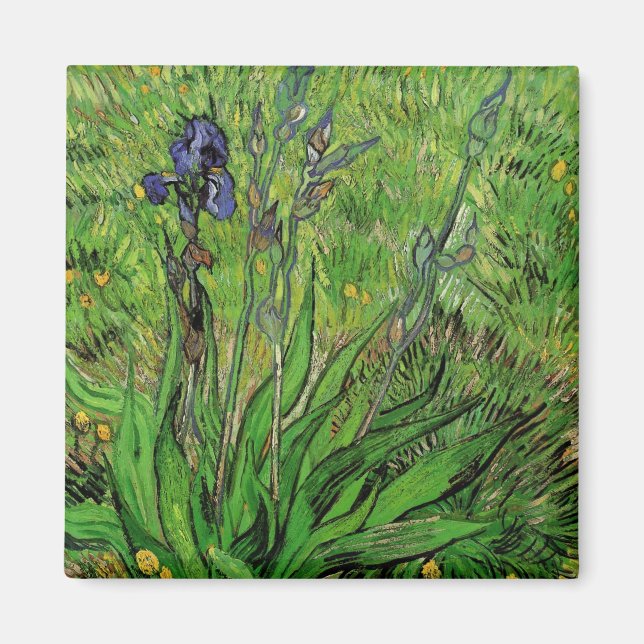 Vincent van Gogh - Iris Magnet (Front)