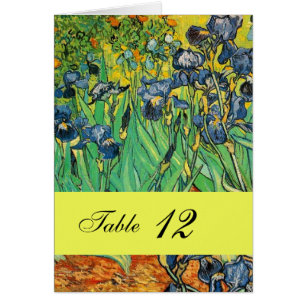 Vincent van Gogh,Irises
