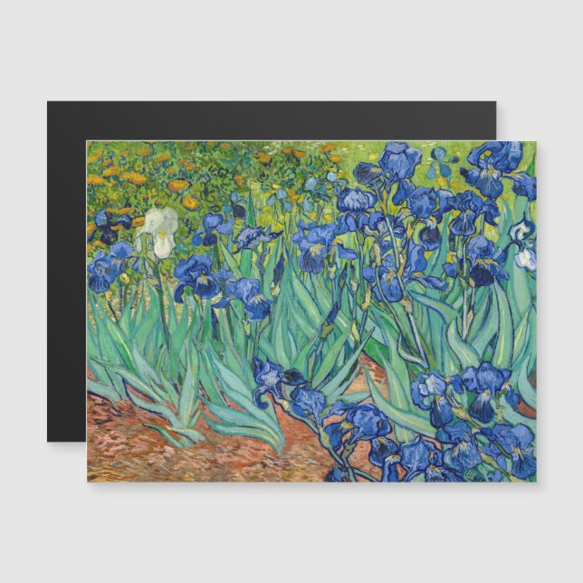 Vincent Van Gogh - Irises (Front/Back)