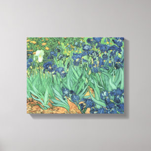 Vincent van Gogh Irises, 1889 Canvas Print