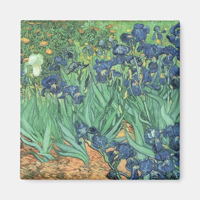 Vincent van Gogh | Irises, 1889 Magnet (Front)