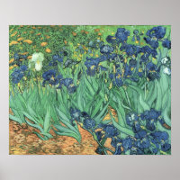 Vincent van Gogh | Irises, 1889