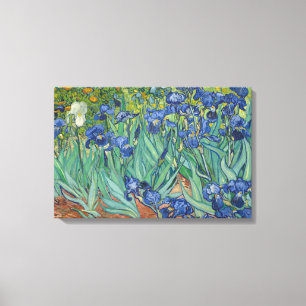 Vincent van Gogh - Irises Canvas Print