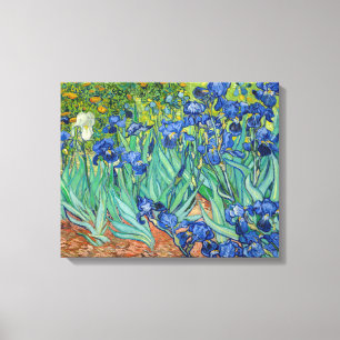 Vincent Van Gogh - Irises Canvas Print