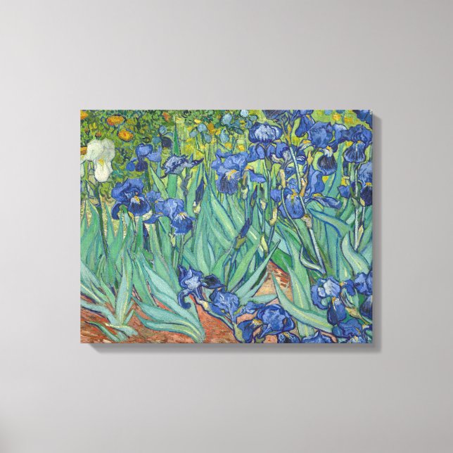 Vincent van Gogh - Irises Canvas Print (Front)
