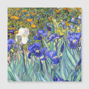 Vincent Van Gogh Irises Floral Vintage Fine Art