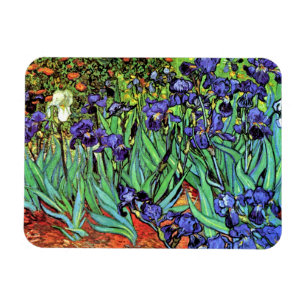 Vincent Van Gogh - Irises - Flower Lover Fine Art Magnet
