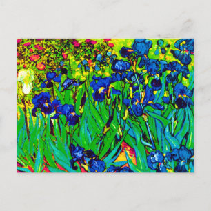Vincent Van Gogh - Irises - Flower Lover Pop Art Postcard