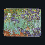 Vincent van Gogh - Irises Magnet<br><div class="desc">Irises (1889) by Van Gogh is a vintage post impressionism fine art floral nature painting. A group of purple bearded irises and a single white iris flower growing in a garden. It was one of his first paintings while he was at the asylum in Saint-Remy-de-Provence. In 1987 it became the...</div>