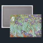 Vincent van Gogh - Irises Magnet<br><div class="desc">Irises (1889) by Van Gogh is a vintage post impressionism fine art floral nature painting. A group of purple bearded irises and a single white iris flower growing in a garden. It was one of his first paintings while he was at the asylum in Saint-Remy-de-Provence. In 1987 it became the...</div>