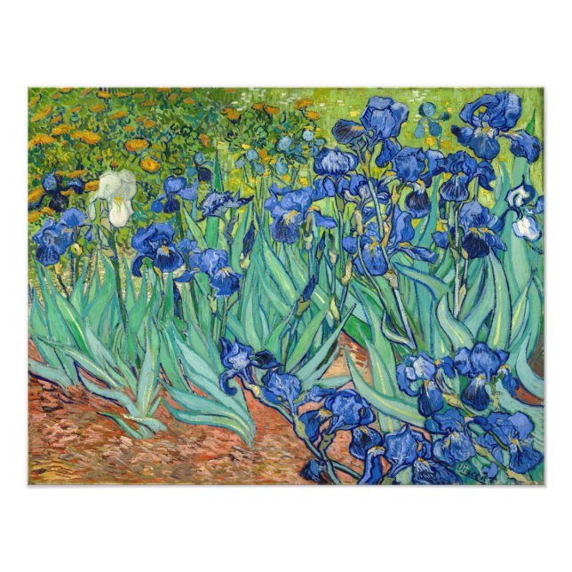 Vincent Van Gogh - Irises Photo Print (Front)