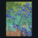 Vincent Van Gogh - Irises Photo Print<br><div class="desc">Vincent Van Gogh - Irises,  1889. Famous art painting.</div>
