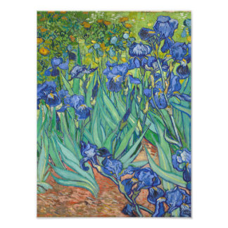 Vincent Van Gogh - Irises Photo Print