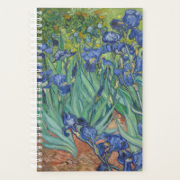 Vincent Van Gogh - Irises