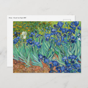 Vincent Van Gogh - Irises Postcard