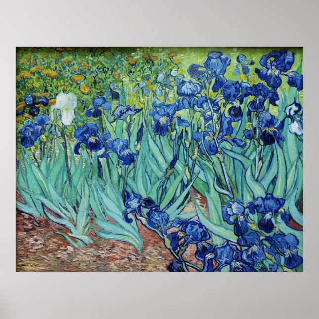 Vincent van Gogh, Irises. Poster (Front)