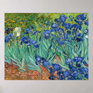 Vincent Van Gogh - Irises Poster