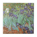 Vincent van Gogh - Irises Tile<br><div class="desc">Irises (1889) by Van Gogh is a vintage post impressionism fine art floral nature painting. A group of purple bearded irises and a single white iris flower growing in a garden. It was one of his first paintings while he was at the asylum in Saint-Remy-de-Provence. In 1987 it became the...</div>
