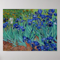 Vincent Van Gogh Irises Vibrant Flower Fine Art