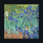 Vincent Van Gogh - Irish Magnet<br><div class="desc">Irish / Iris - Vincent Van Gogh, 1889</div>