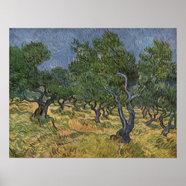 Vincent van Gogh Landscape - 1889 Poster (Front)