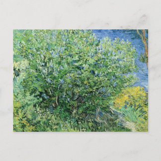 Vincent Van Gogh - Lilacs Postcard