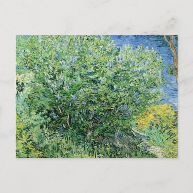 Vincent Van Gogh - Lilacs Postcard (Front)
