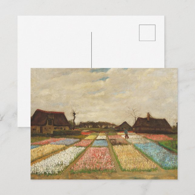 Vincent Van Gogh Oil Painting Bulb Fields Postcard (Front/Back)