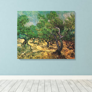 Vincent van Gogh - Olive Grove Canvas Print