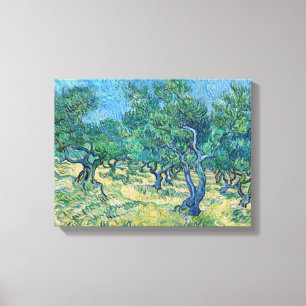 Vincent van Gogh - Olive Grove Canvas Print
