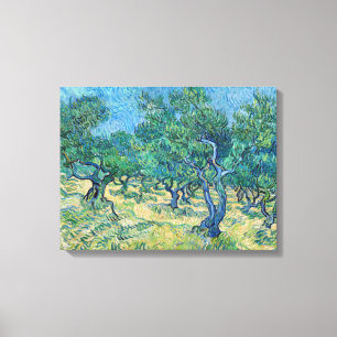 Vincent van Gogh - Olive Grove Canvas Print