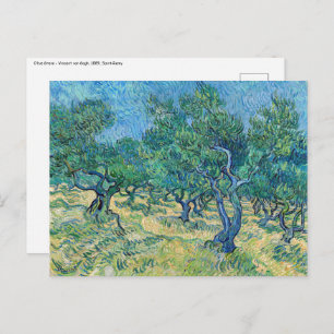 Vincent van Gogh - Olive Grove Postcard