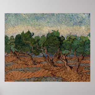Vincent van Gogh - Olive Grove Poster
