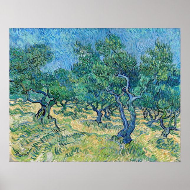 Vincent van Gogh — Olive Grove Poster (Front)
