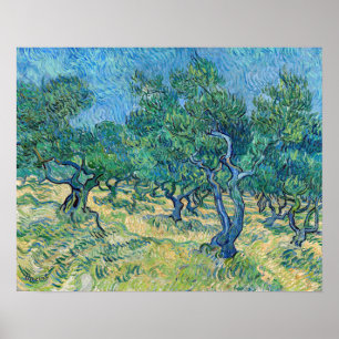 Vincent van Gogh - Olive Grove Poster